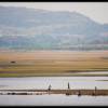 Washerwomen