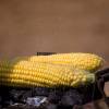 Corn on the cob