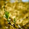 Spring is here!