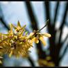 Spring is here!