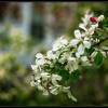 Spring is here!