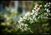Spring is here!