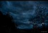 Thunderstorm Approaching!