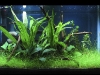 front-view_july_11.jpg