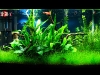 fts_1-small.jpg
